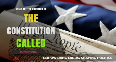 The Constitution's Articles: Understanding America's Founding Documents