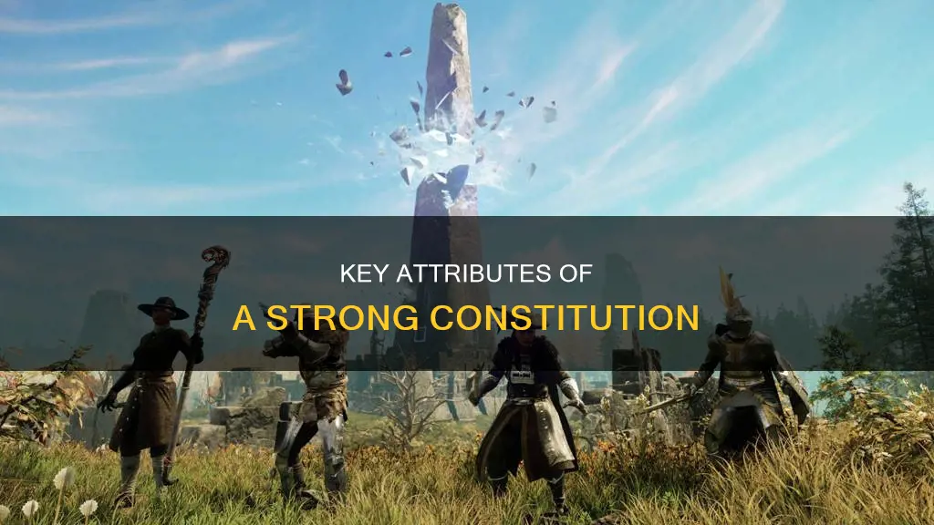what are the attributes of a good constitution
