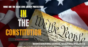 Civil Liberties: Constitutional Protections and Basic Rights