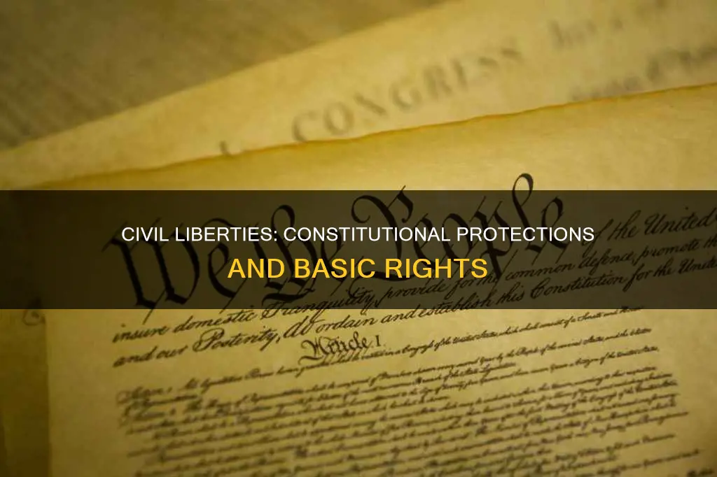 what are the basic civil liberty protections in the constitution