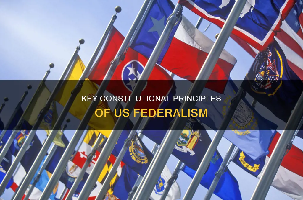 what are the basic constitutional features of us federalism