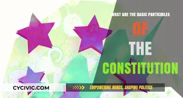 Understanding the Constitution: Basic Building Blocks