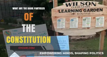 The Basic Particles of Our Constitution Explained