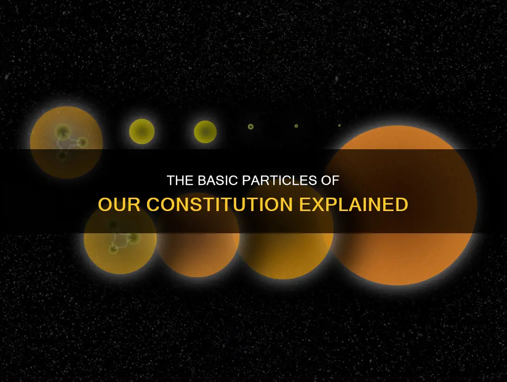 what are the basic particles of the constitution