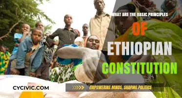 Ethiopia's Constitution: Fundamental Principles and Their Influence