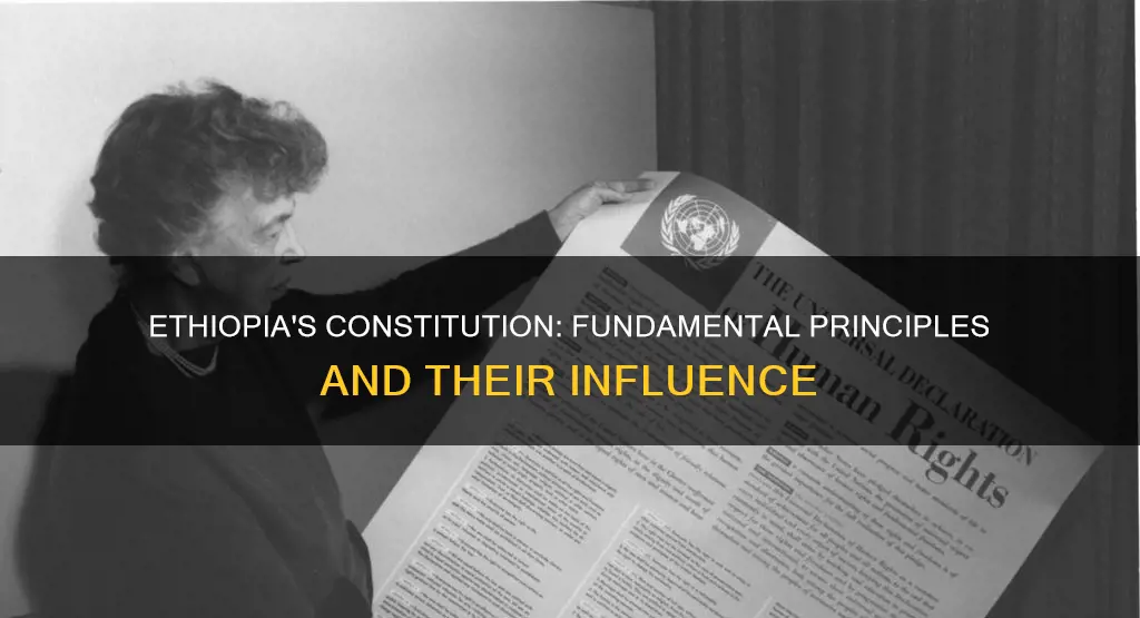 what are the basic principles of ethiopian constitution