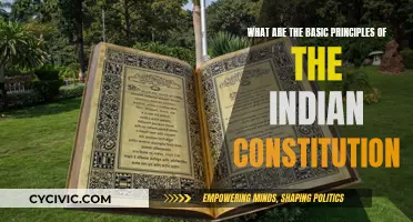 The Basic Principles of India's Constitution