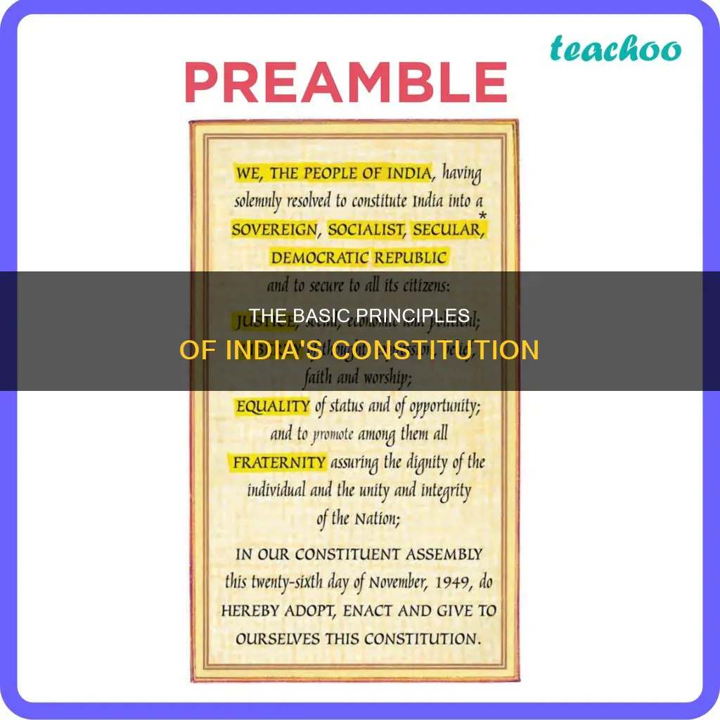 what are the basic principles of the indian constitution