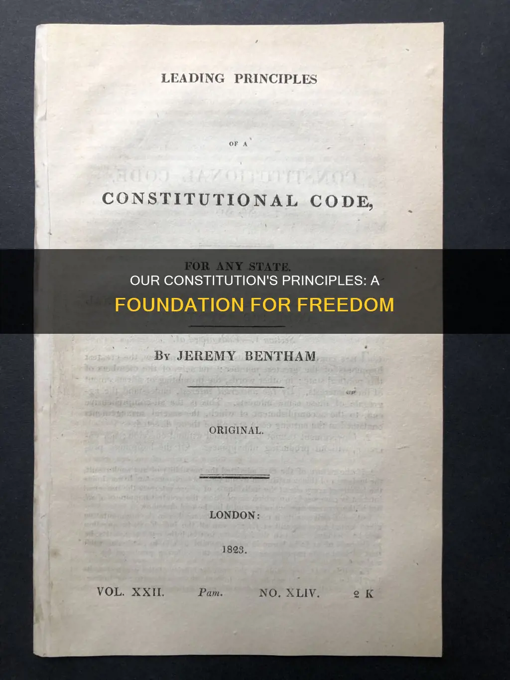 what are the basic principles that inform our constitution