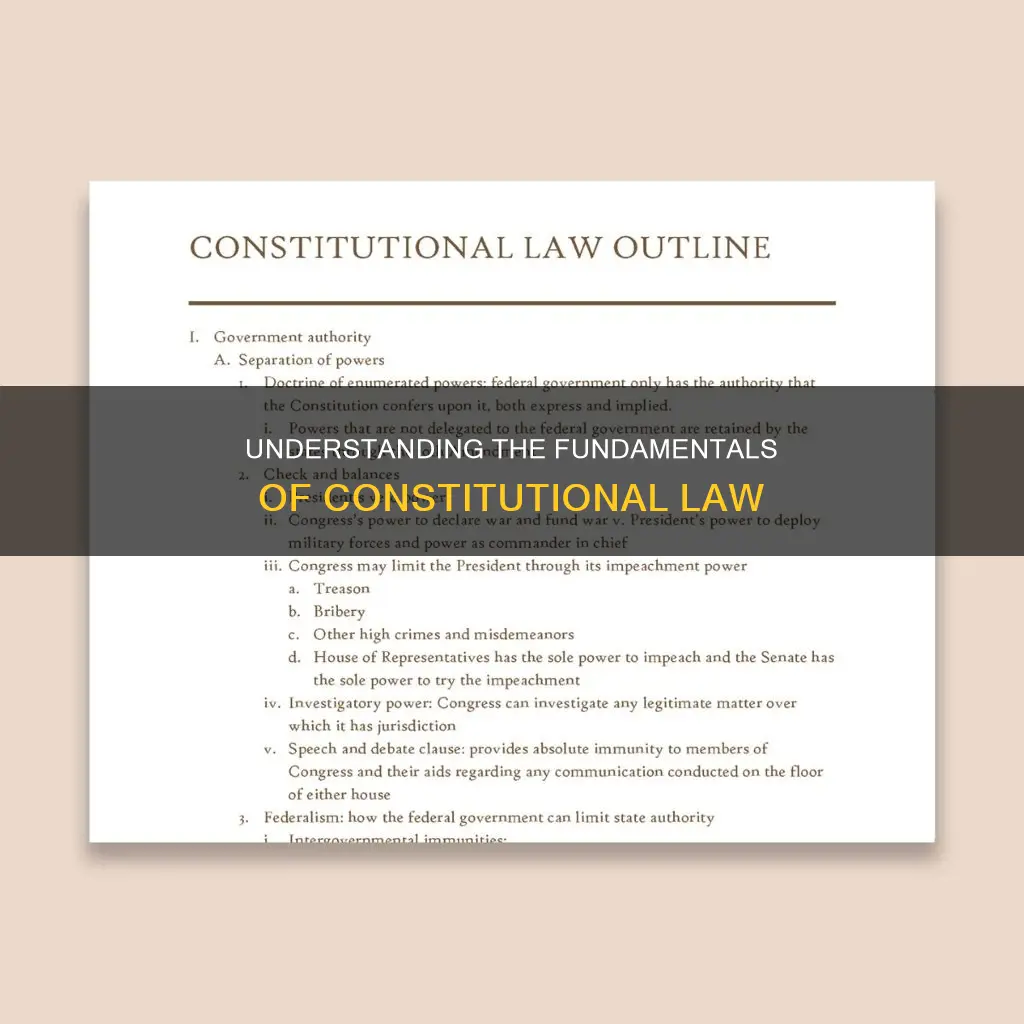 what are the basic rules of a constitution