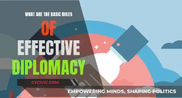 Effective Diplomacy: Rules for Success