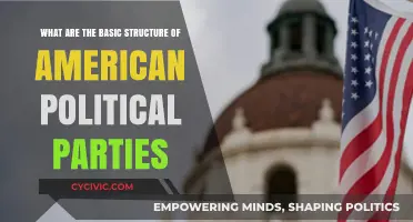 Understanding the Core Framework of American Political Parties