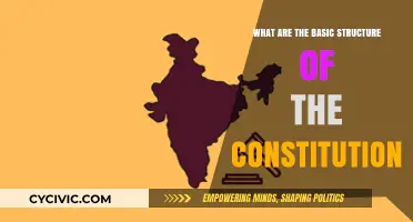 Understanding the Constitution: Its Basic Framework