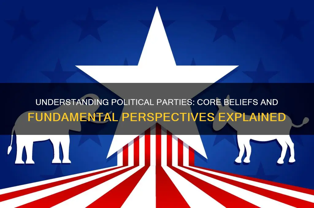 what are the basic views of the political parties