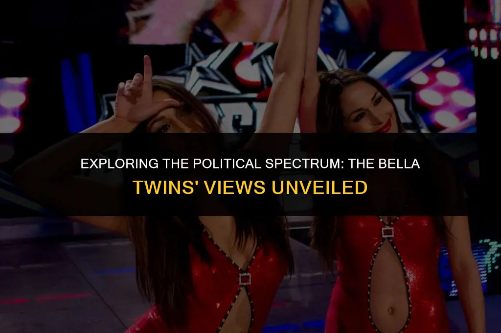 what are the bella twins political views