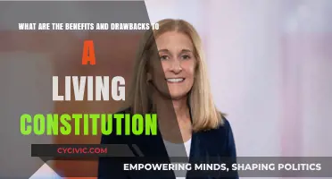 The Living Constitution: Benefits and Drawbacks