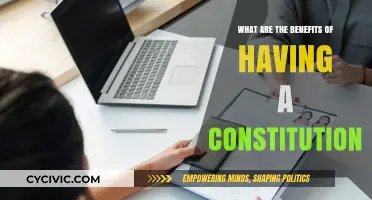 A Constitution: Foundation of Rights and Freedoms