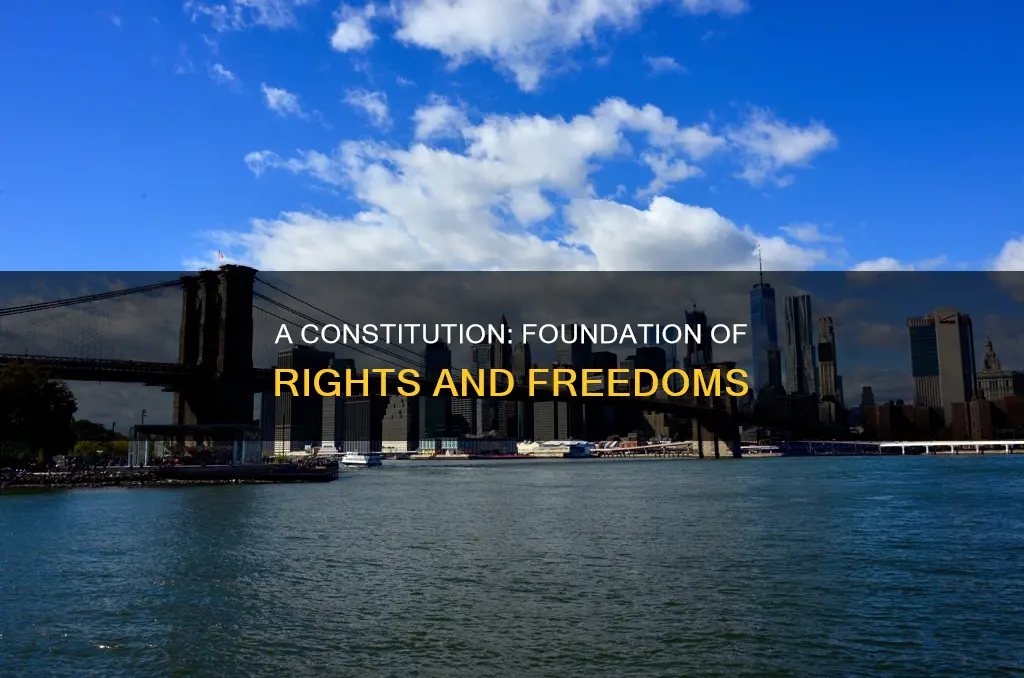 what are the benefits of having a constitution