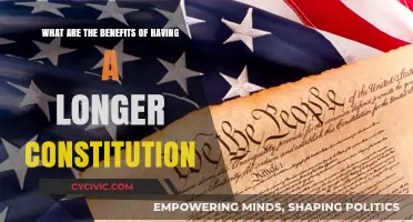 Longer Constitutions: Benefits of a Detailed Framework