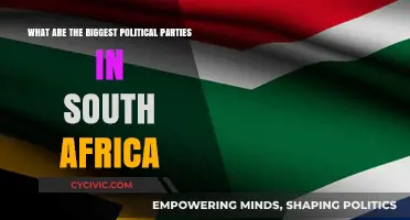 South Africa's Dominant Political Parties: A Comprehensive Overview