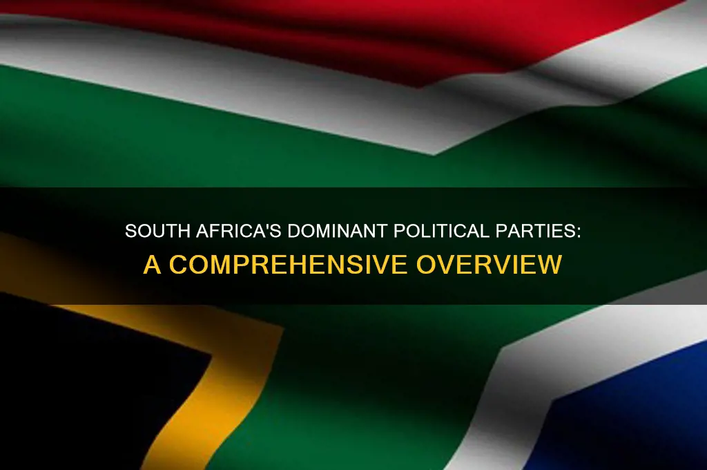 what are the biggest political parties in south africa