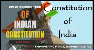 Indian Constitution: Borrowed Features and Their Influence