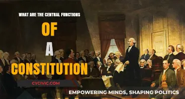 Constitution's Core: Functions and Fundamentals