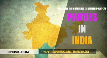 Navigating India's Political Divide: Key Challenges Among Parties
