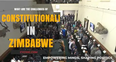 Zimbabwe's Constitutionalism: Challenges and the Road Ahead