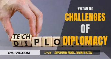 Diplomacy's Challenges: Navigating a Complex Global Landscape