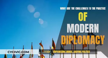 Diplomacy's Challenges: Navigating a Complex Modern World
