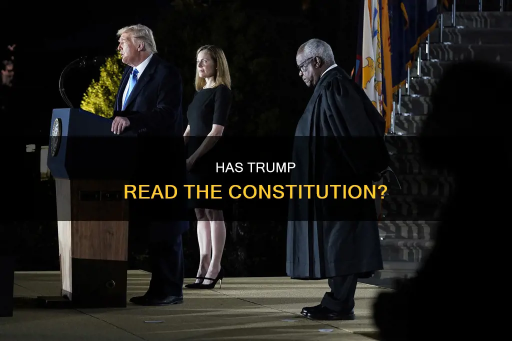what are the chances that trump has read the constitution