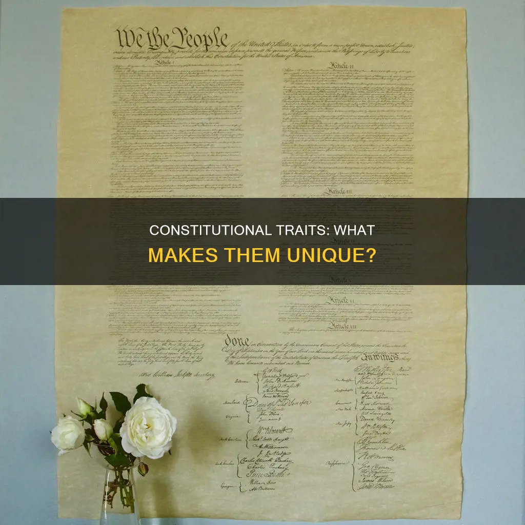 what are the characteristic that makes a constitution special