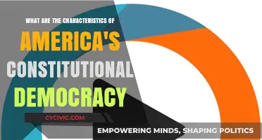 Key Traits of America's Constitutional Democracy