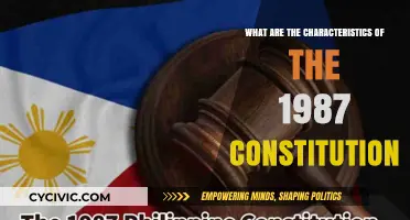 Key Traits of the 1987 Constitution