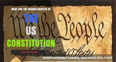 Key Features of the US Constitution
