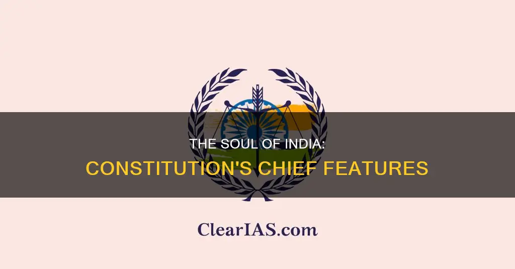 what are the chief features of indian constitution