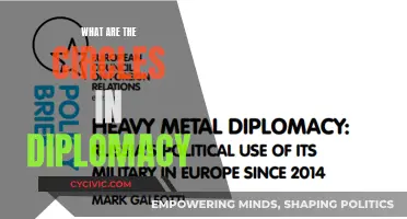 Diplomatic Circles: Understanding the Interconnected Web of Influence