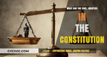 Civil Liberties: Our Constitutional Rights Explained