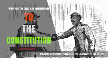 Civil War Amendments: Freedom and Equality