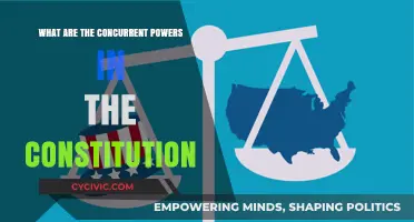 Concurrent Powers: Understanding Shared Responsibilities in the Constitution