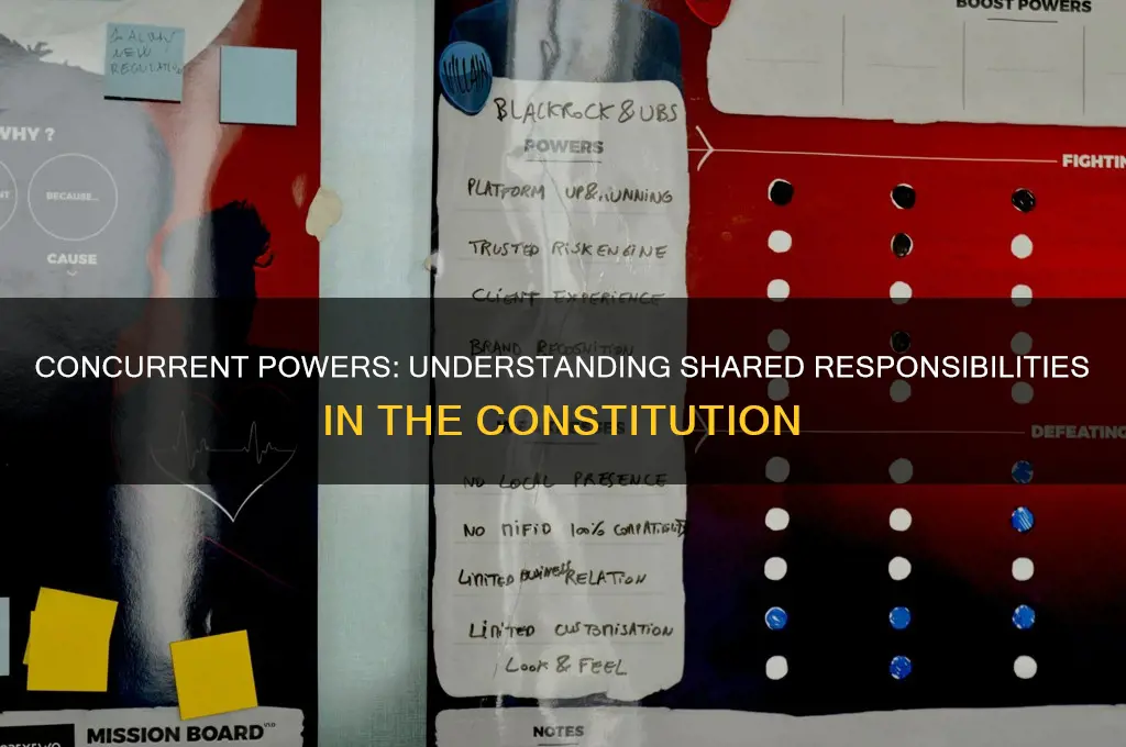 what are the concurrent powers in the constitution