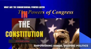 Congressional Powers: Constitutional Authority Explained