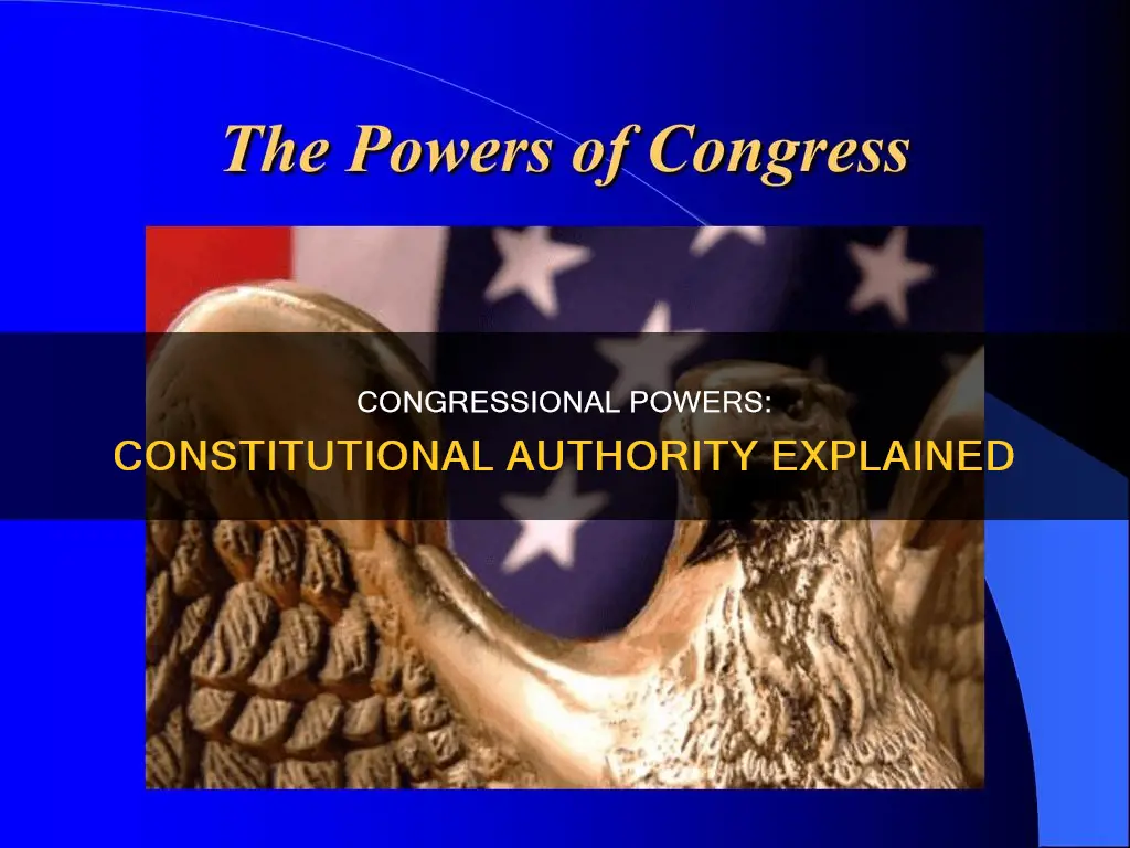 what are the congressional powers listed in the constitution