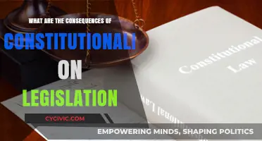 Constitutionalism's Impact: Shaping Legislation and Society
