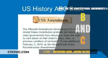 Amendments ABC: Understanding the Constitution's Core