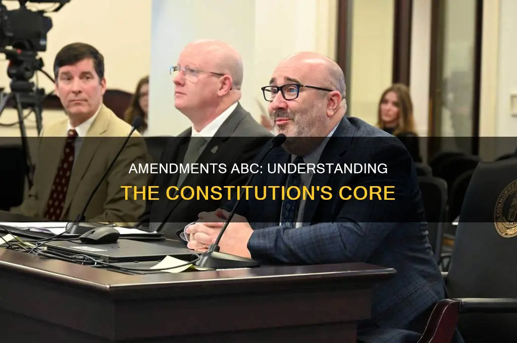 what are the constitutional amendments a b and c