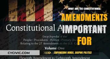 Amendments: Our Constitution's Living Evolution