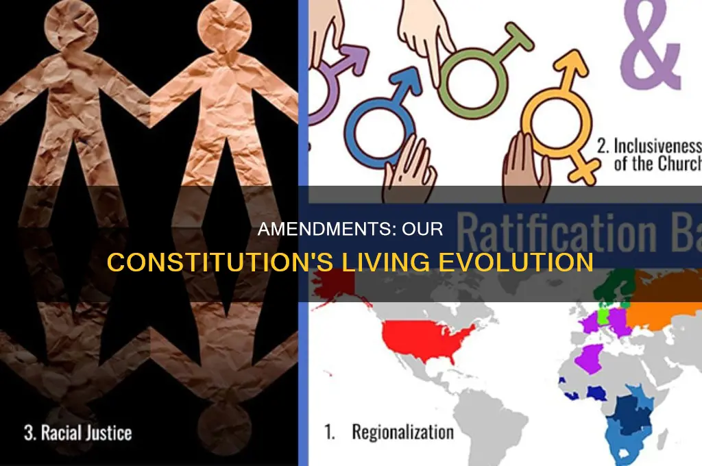what are the constitutional amendments important for