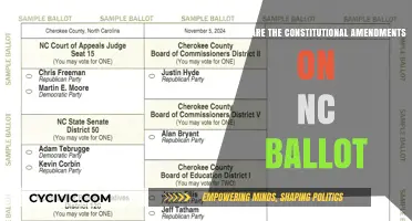 Understanding North Carolina's Ballot Amendments